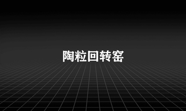 陶粒回转窑