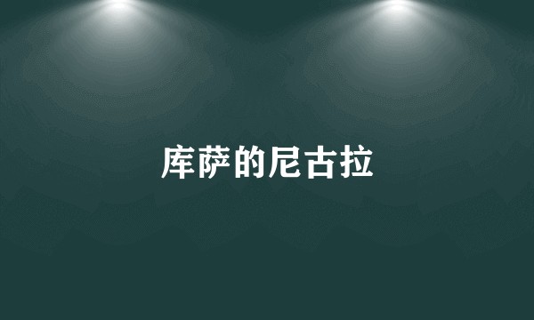 库萨的尼古拉