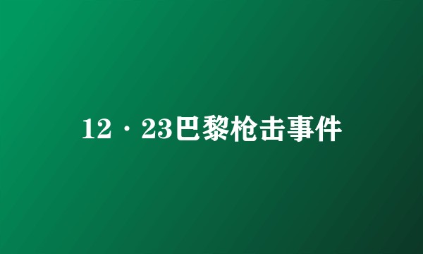 12·23巴黎枪击事件