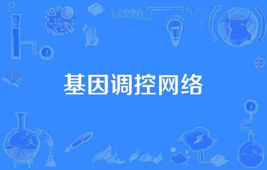 基因调控网络