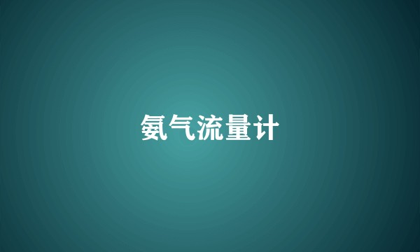 氨气流量计