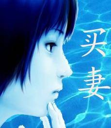 农村家庭暴力长篇《买妻》