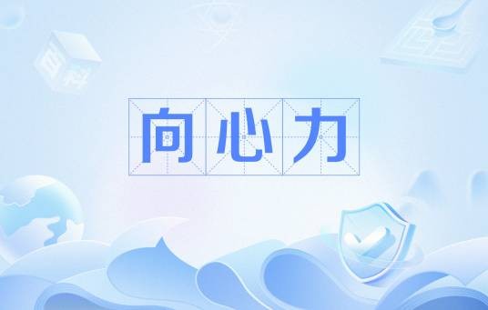 向心力（社会学名词）
