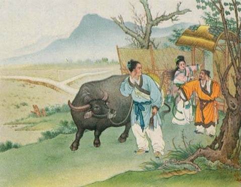 牛郎（词语）