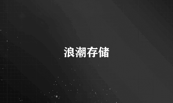 浪潮存储