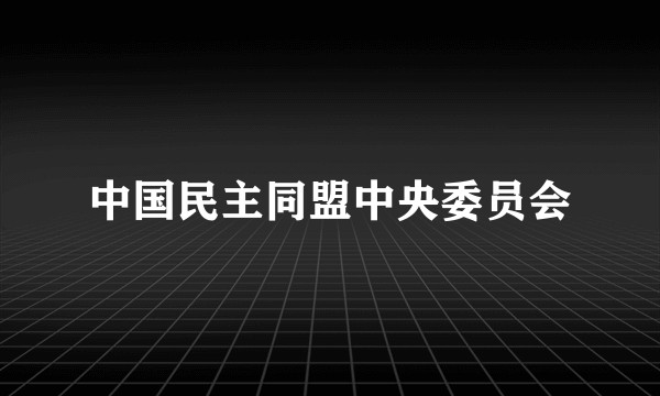 中国民主同盟中央委员会