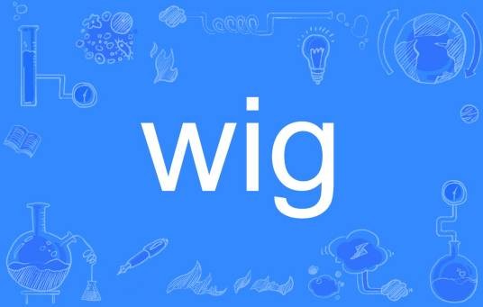 wig