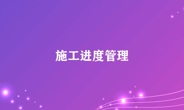 施工进度管理