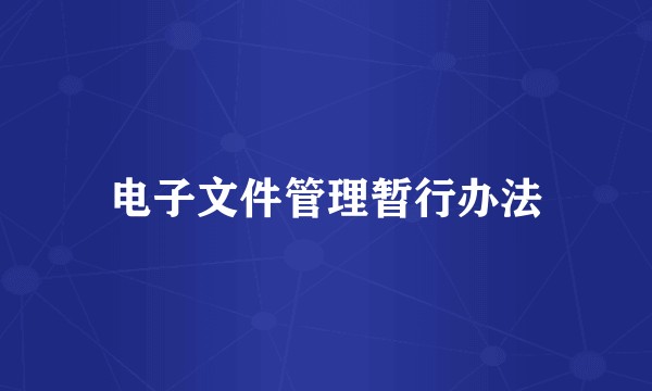 电子文件管理暂行办法