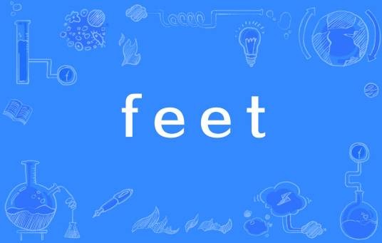feet（英语词汇）