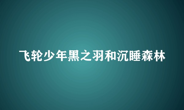 飞轮少年黑之羽和沉睡森林