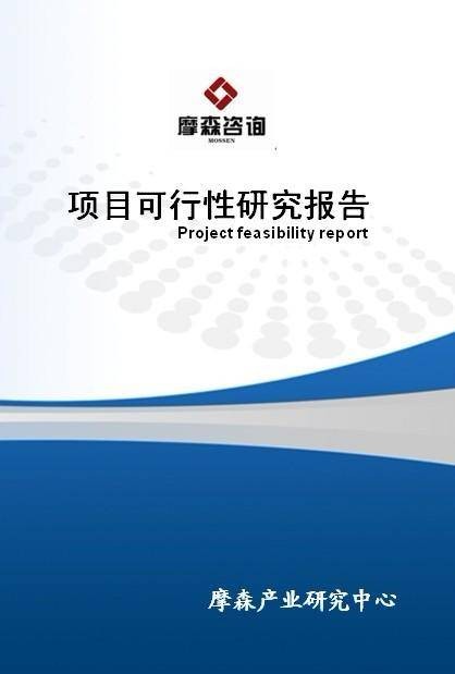 项目可行性报告