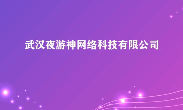 武汉夜游神网络科技有限公司