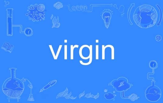 Virgin（英文单词）