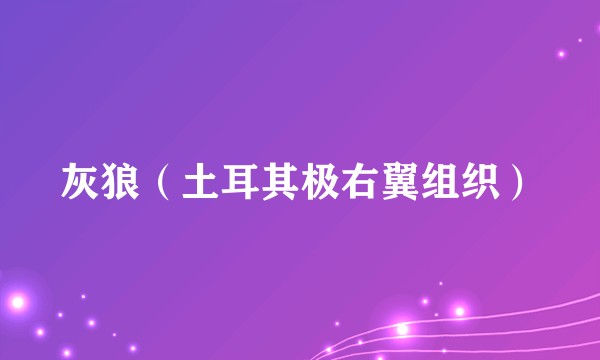 灰狼（土耳其极右翼组织）