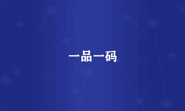 一品一码