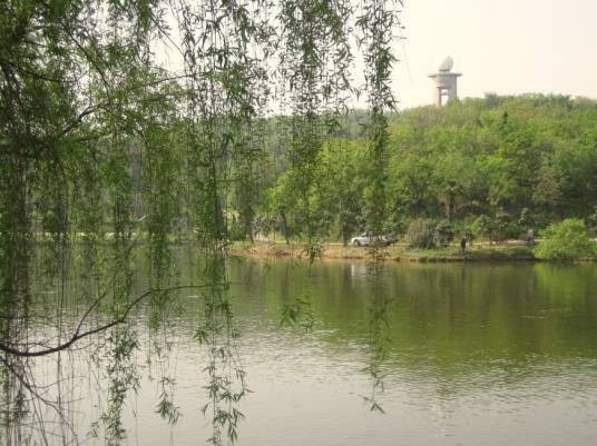 龙王山(南京市浦口区旅游景点)