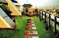 屋顶花园（在屋顶以绿化的形式建设花园）