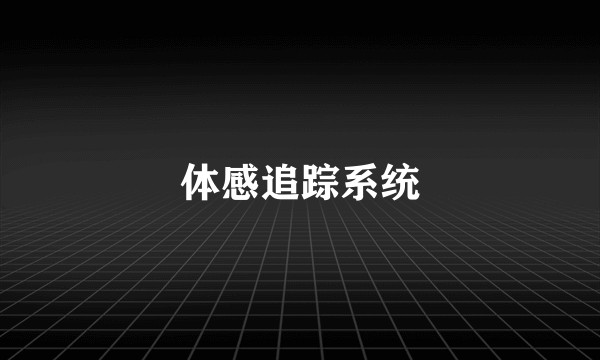 体感追踪系统
