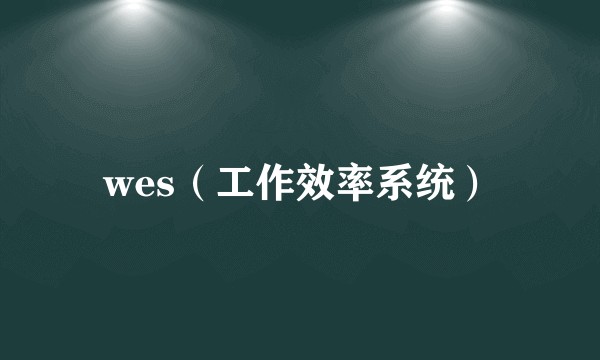 wes（工作效率系统）