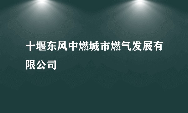 十堰东风中燃城市燃气发展有限公司