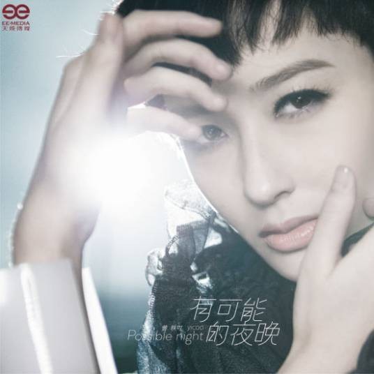 有可能的夜晚(曾轶可演唱歌曲)