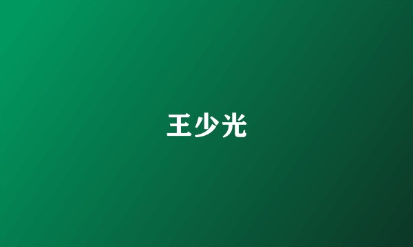 王少光