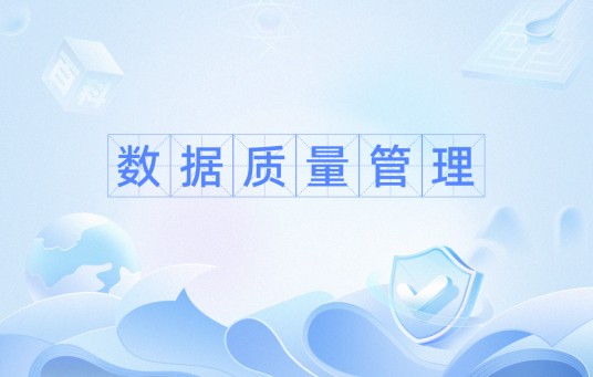 数据质量管理