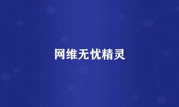 网维无忧精灵