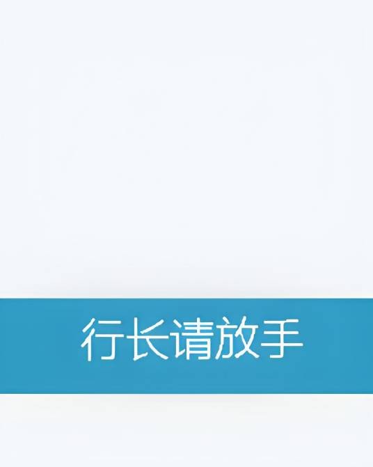 行长请放手
