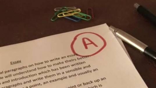 essay(话题作文和论文的统称)