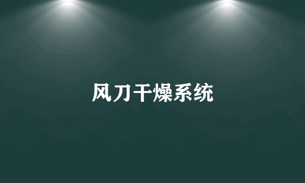 风刀干燥系统