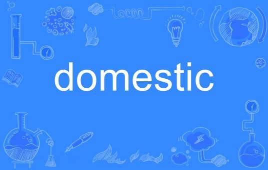 Domestic(英语单词)
