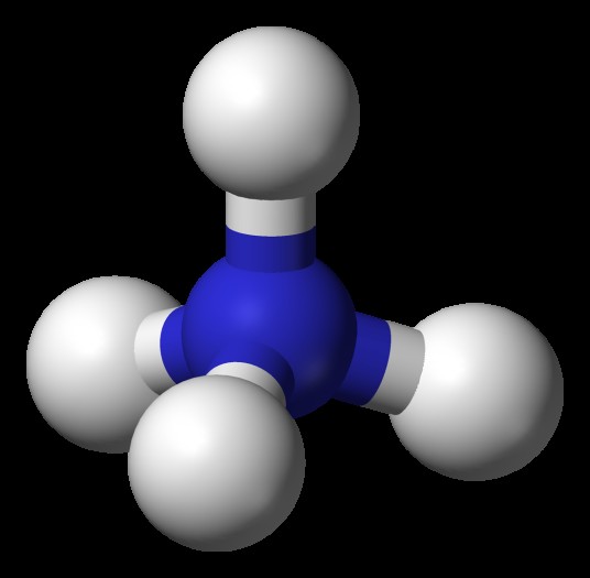 铵(氨分子衍生出的阳离子)