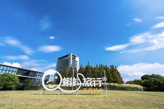 蝌蚪旅行