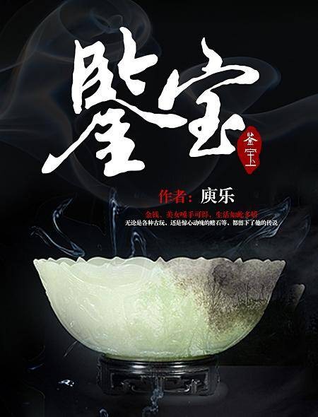 鉴宝（庾乐创作的都市类小说）
