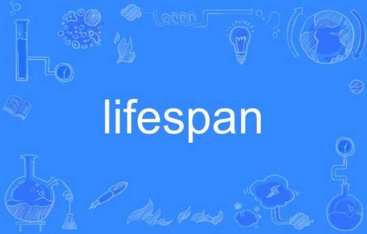 lifespan（英语单词）