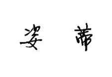 姿蒂