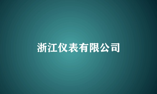 浙江仪表有限公司