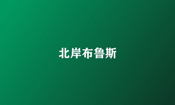 北岸布鲁斯