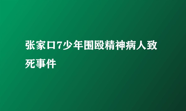 张家口7少年围殴精神病人致死事件