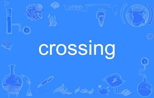 Crossing（英语名词）