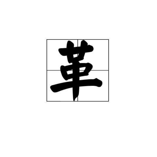 革(皮革制品)