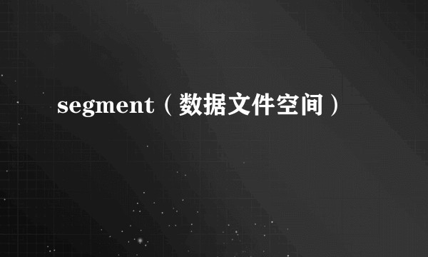 segment（数据文件空间）