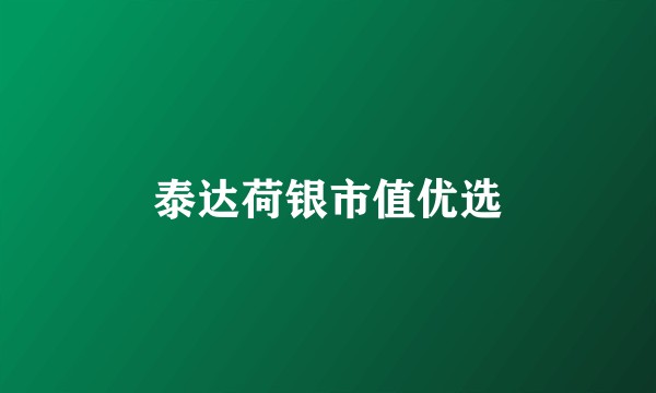 泰达荷银市值优选
