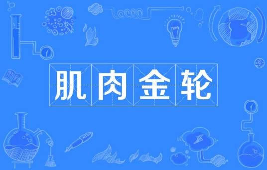 肌肉金轮