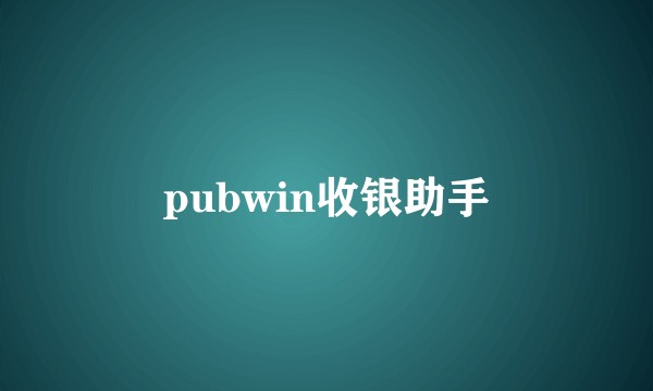 pubwin收银助手