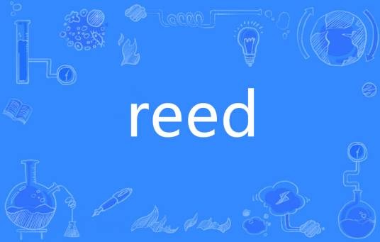 reed（英语单词）