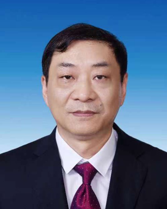 于伟(河南豫地科技集团有限公司总经理、副董事长)