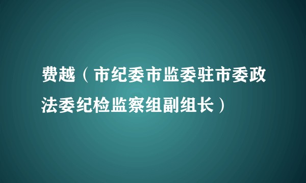 费越(市纪委市监委驻市委政法委纪检监察组副组长)